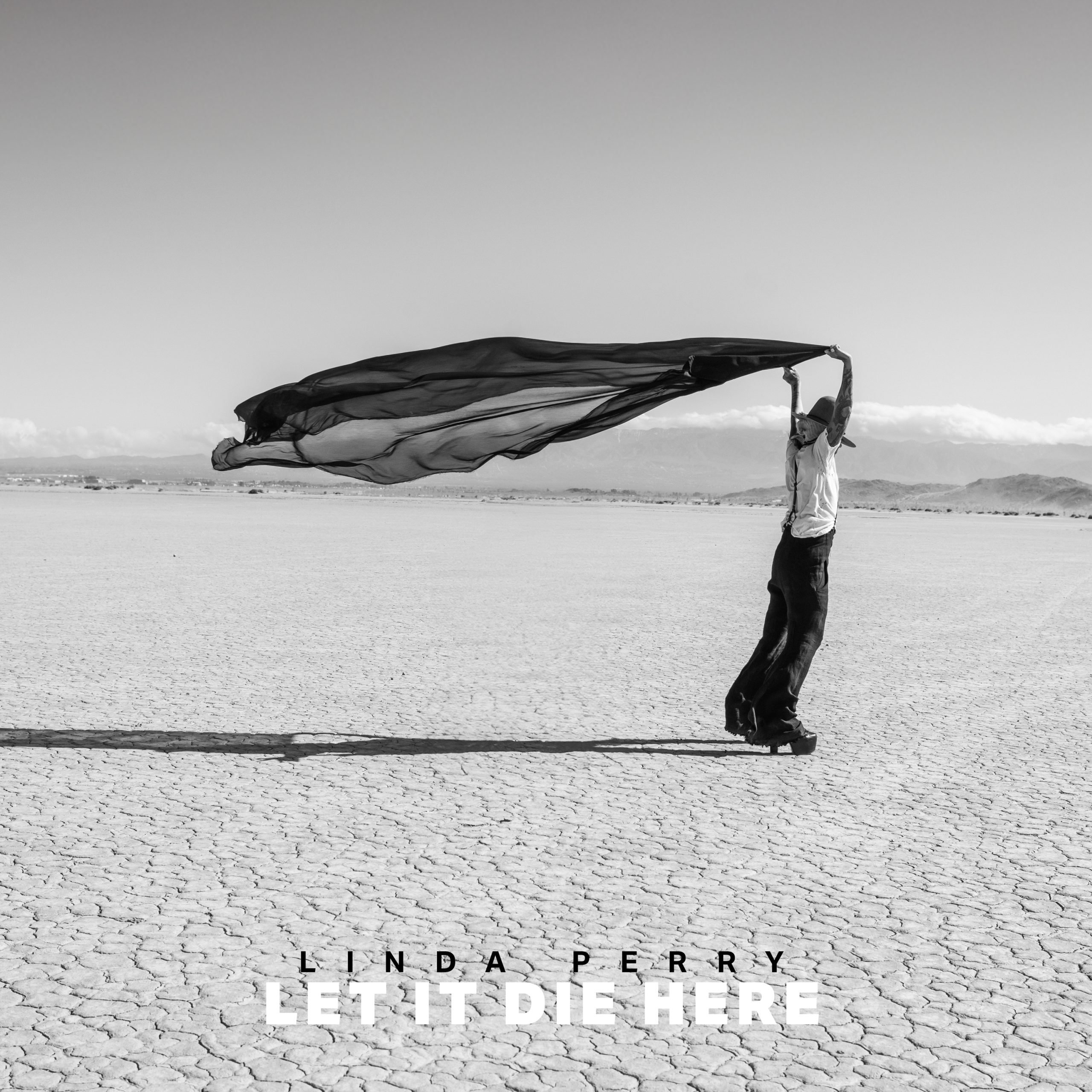 Recension – Linda Perry – Let It Die Here